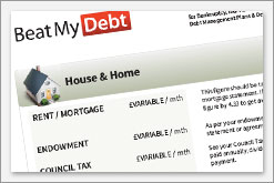 Debt Relief Order Living Expenses Guide