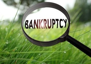 Bankruptcy: A Beginner’s Guide