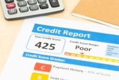 Credit Rating and Bankruptcy